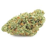 Шишки OG Kush  (Гидропоника, бошки) VHQ в Петровске-Забайкальском